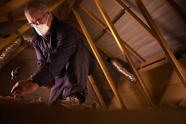 Professional Insulation Contractor in MD