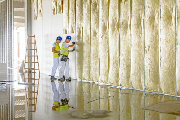 Best Insulation for Specific Applications in Eldersburg, MD